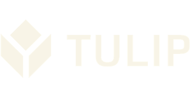 Tulip Interfaces